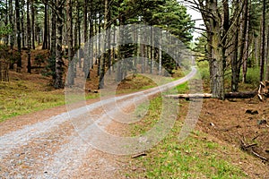 Exploring Llanddwyns Natural Beauty. Newborough north Wales Anglesey