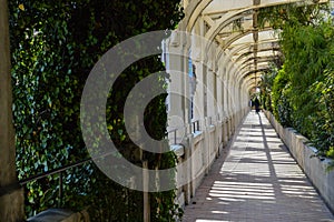 Exploring the Principality of Monaco