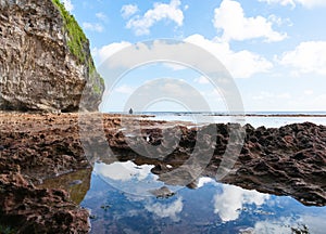 Exploring rock pools on coral shelf on tropical Niue