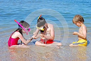 Exploring seashore treasures