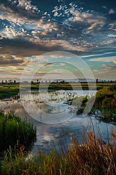 Exploring the Serene Beauty of California\'s Tectonic Sky: A Gold