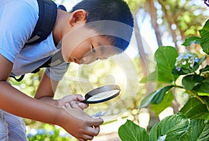 Exploring. a young boy using a magnifying glass outside.