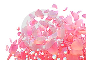 Explosion of beautiful pink rose petals with pearls