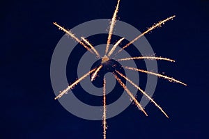 An explosion of bright single fireworks, against the background of the night sky.