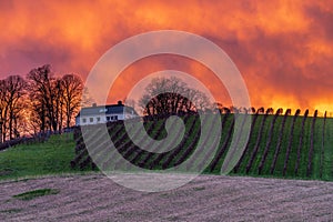 explosion of colours during sunset over the Jeker valley in Maastricht and the Apostelhoeve vineyards during Spring