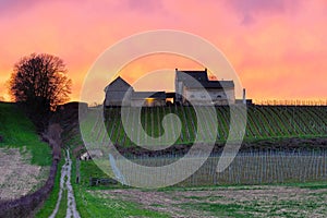 explosion of colours during sunset over the Jeker valley in Maastricht and the Apostelhoeve vineyards during Spring