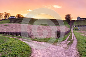 explosion of colours during sunset over the Jeker valley in Maastricht and the Apostelhoeve vineyards during Spring