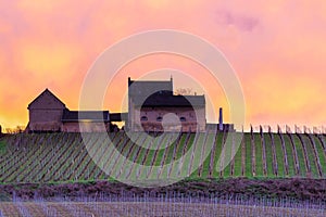 explosion of colours during sunset over the Jeker valley in Maastricht and the Apostelhoeve vineyards during Spring