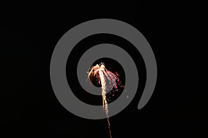 Explosion fire work isolated on a black background