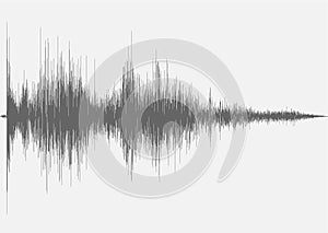 Explosive Ordnance Detonation with Ringout Echo