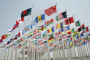 Expo with flags img