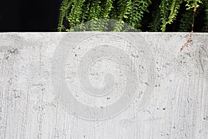 Expose textured concrete wall with freshness green fern background