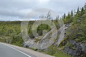 Exposed bedrock and dense forest landscape adjacent to Newfoundland highway