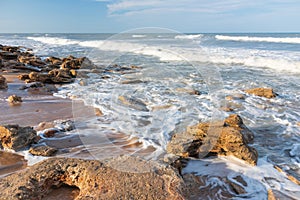 Exposed Coquina Rock at low tide in Washington Oaks Gardens State Park
