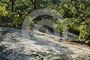 Exposed granite hillside
