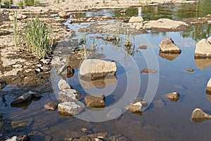 Exposed parched riverbed of the Elbe River in Magdeburg during severe drought in summer