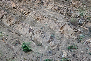 Exposed Sedimentary Rock layers on Greek Mountain Slope