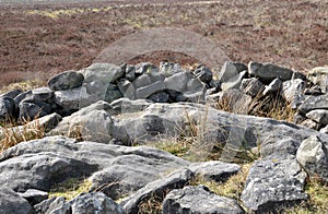 exposed stones at the top of a cairn known as the millers grave on midgley moor in calderdale west yorkshire