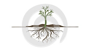 Exposed Tree Root System Icon, vector design Generative AI