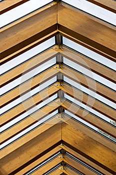 Exposed wooden truss rafters supporting glass skylight roof