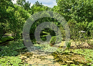 The exposition of the exhibition `Japanese garden` in the main Botanical garden of Russian Academy of Sciences, Moscow, Russian Fe