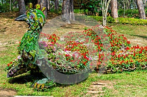 An exposition of flowers in the shape of a peacock in a park in the tropics