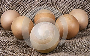 Exposition of fresh eggs, easter, eggs on linen talles.