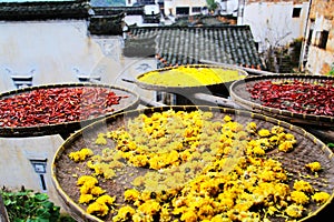 Exposure of crops in Autumn season at Huanglin village