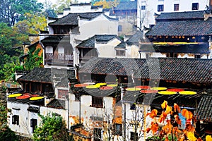 Exposure of crops in Autumn season at Huanglin village