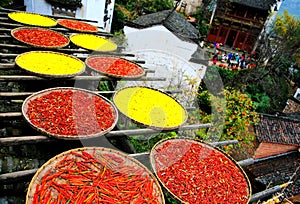 Exposure of crops in Autumn season at Huanglin village