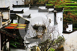 Exposure of crops in Autumn season at Huanglin village