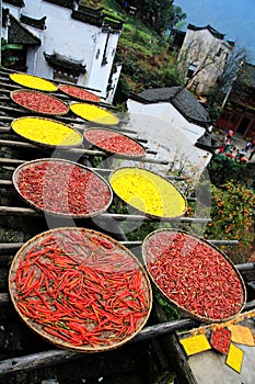 Exposure of crops in Autumn season at Huanglin village