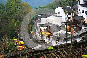 Exposure of crops in Autumn season at Huanglin village