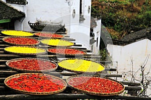 Exposure of crops in Autumn season at Huanglin village