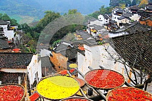 Exposure of crops in Autumn season at Huanglin village