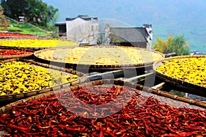 Exposure of crops in Autumn season at Huanglin village