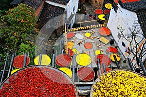 Exposure of crops in Autumn season at Huanglin village