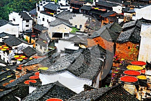 Exposure of crops in Autumn season at Huanglin village