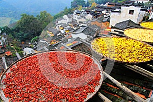 Exposure of crops in Autumn season at Huanglin village