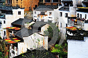 Exposure of crops in Autumn season at Huanglin village