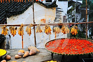 Exposure of crops in Autumn season at Huanglin village