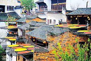 Exposure of crops in Autumn season at Huanglin village