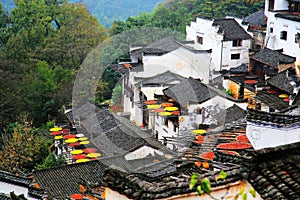 Exposure of crops in Autumn season at Huanglin village