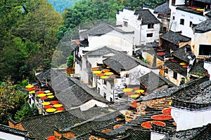 Exposure of crops in Autumn season at Huanglin village