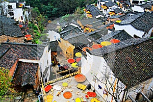 Exposure of crops in Autumn season at Huanglin village