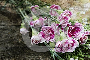 Exposure of pink flowers,wood texture background