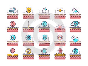 Exposure to skin external factors, aging, care, genetics line color icons set. Human skin layers. Signs for web page, mobile app,