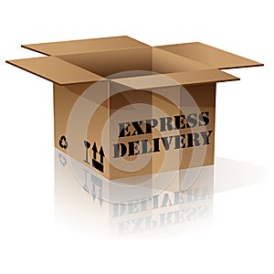 Expres delivery or package shipping order in cardboard box