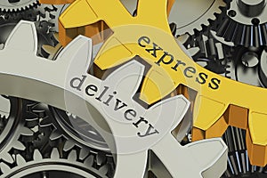 Express delivery concept on the gearwheels, 3D rendering