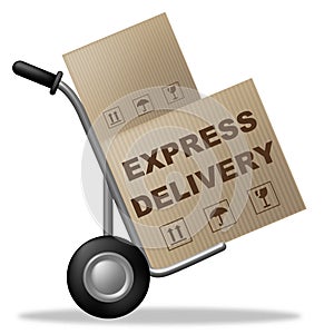 Express Delivery Represents Fast Track And Container